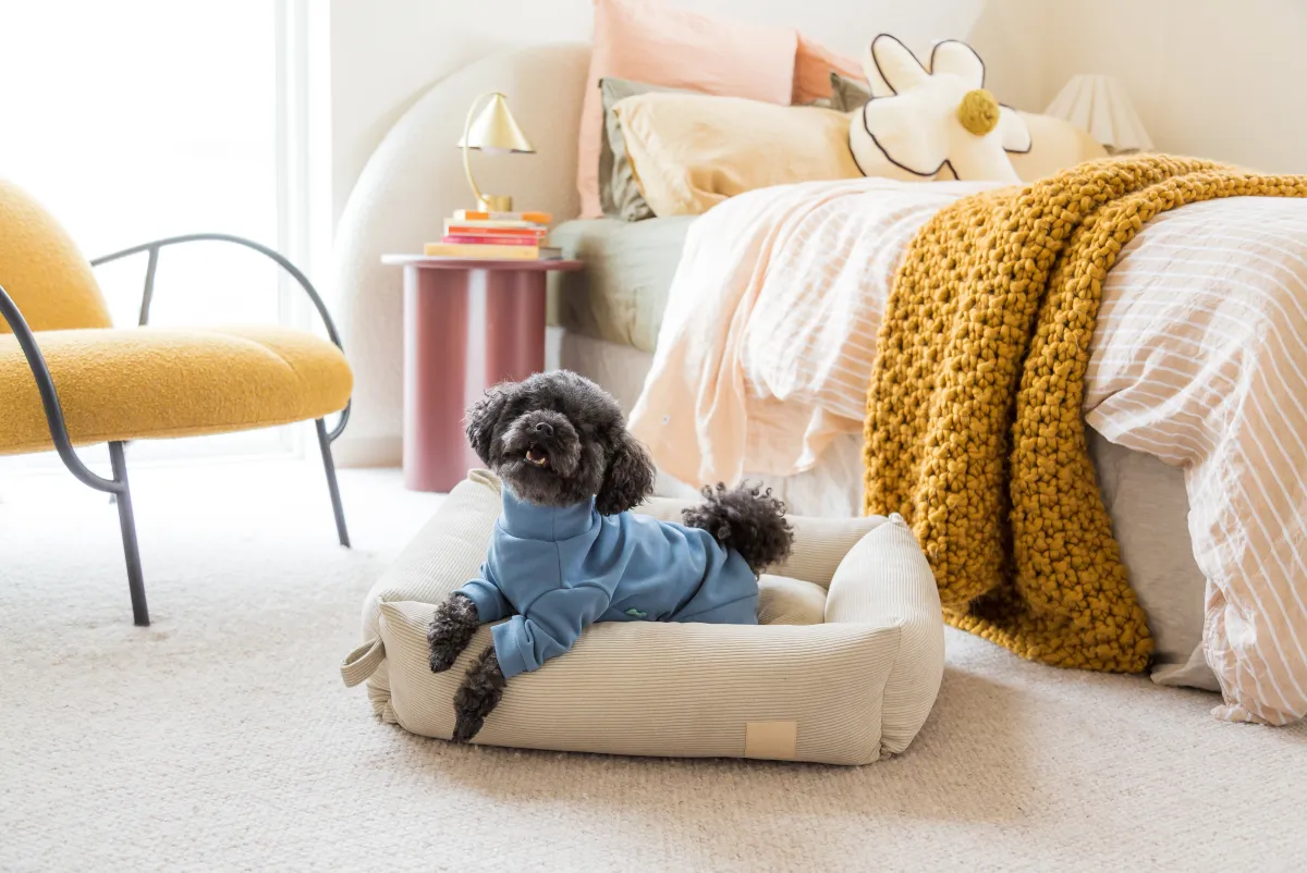 FuzzYard Life - Elegant, with neutral tones and supreme comfort for everyday.