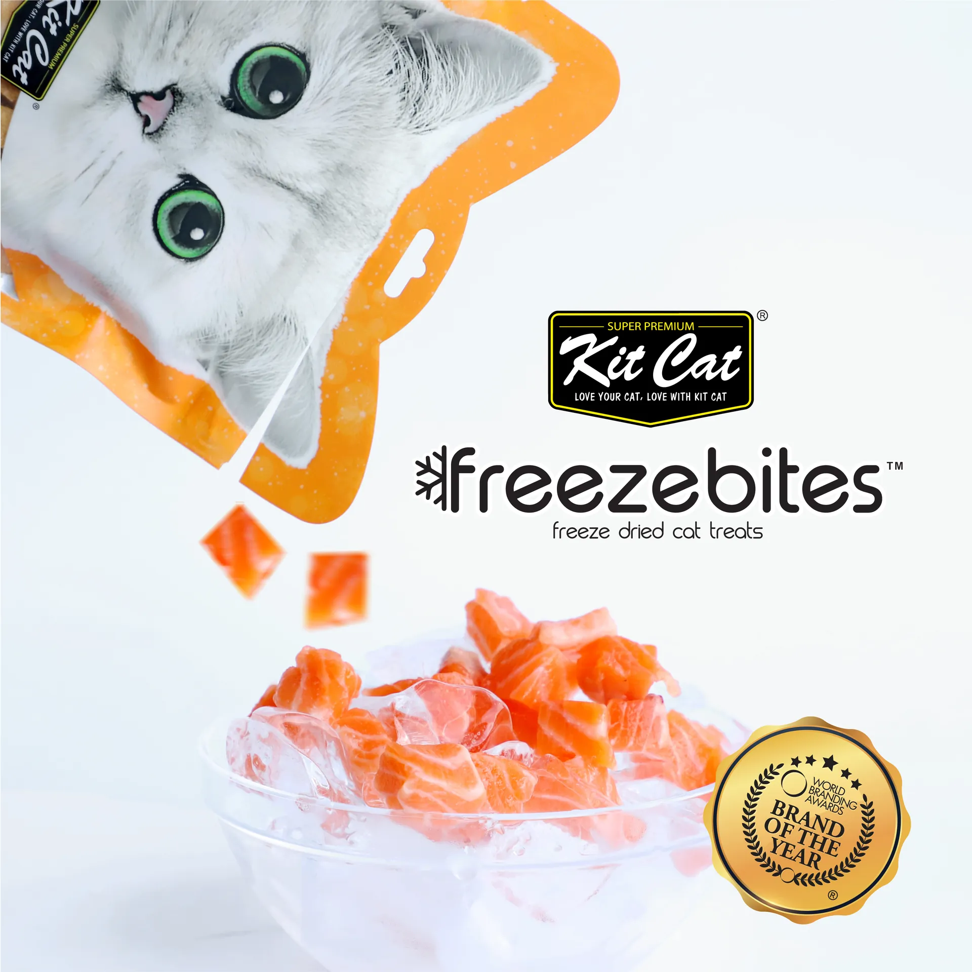 Kitten Special