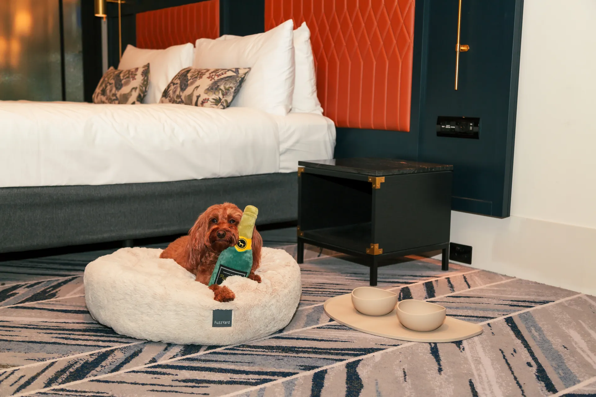 FuzzYard Hotel Packages