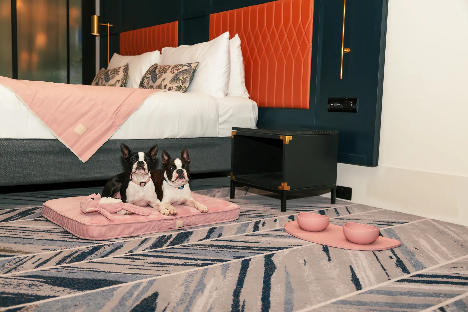 Pet Friendly Hotel with FuzzYard