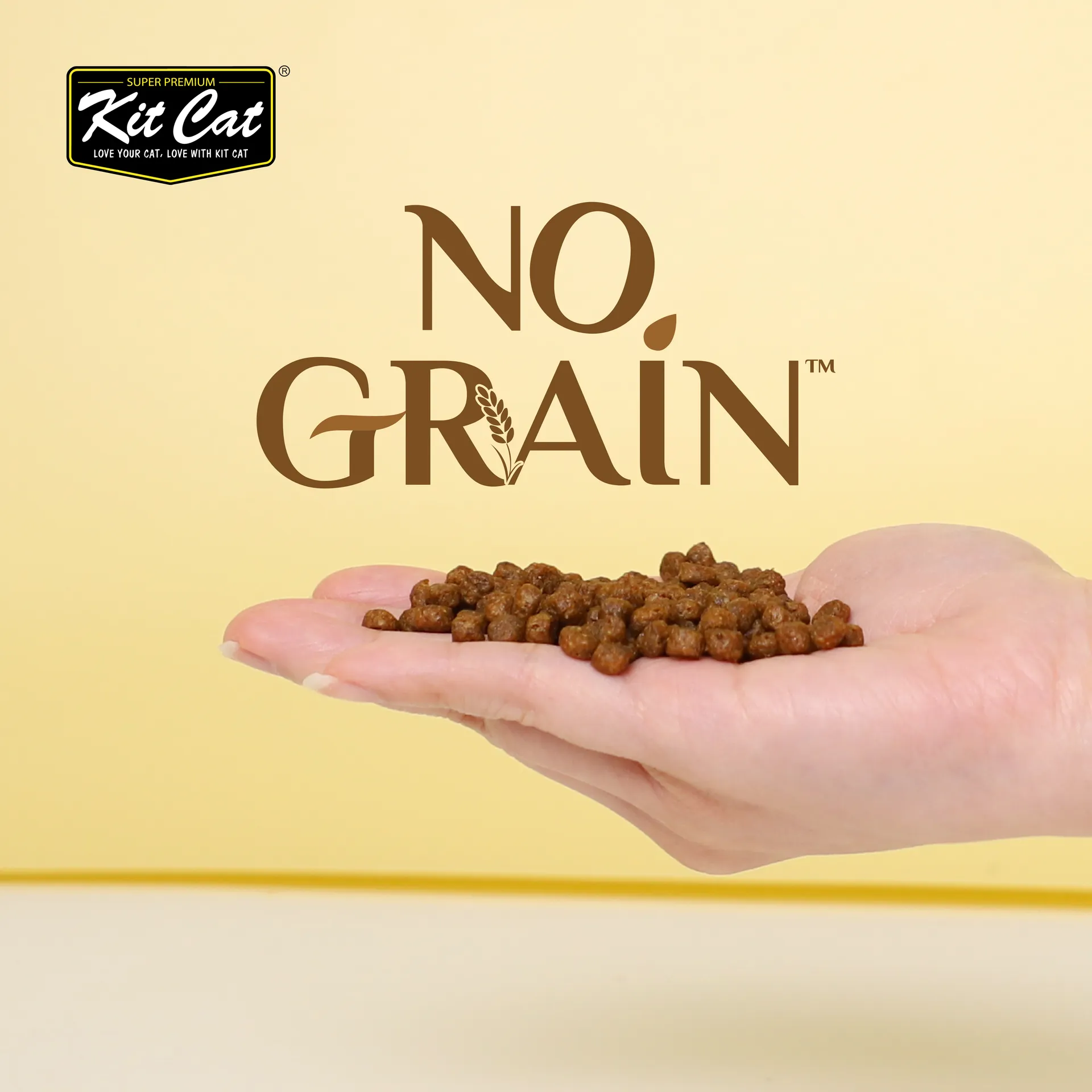 Dry Food